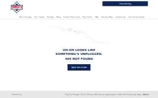 Topcity Storage website