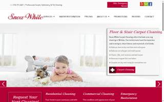 Snow White Carpet Cleaning