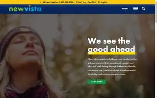 New Vista of Danville website