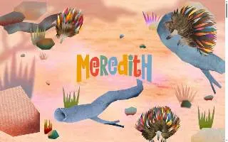 Meredith & Son Glass website