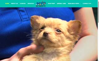 Most Valuable Pets of Lexington