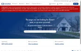Central Insurance Services website