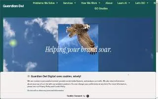Guardian Owl Digital website