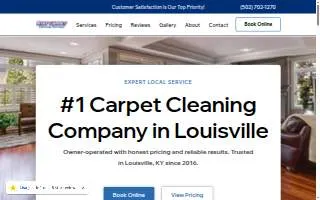 Stat Carpet Cleaning website