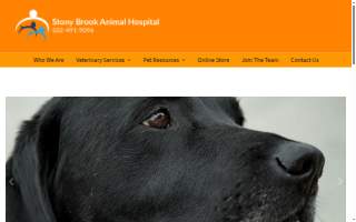 Stony Brook Animal Hospital