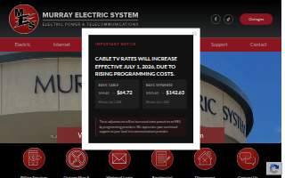 Murray Electric System