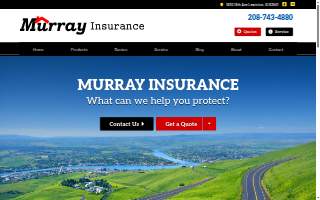 Murray Insurance - Jason Billington