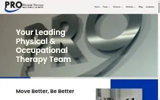 PRO Physical Therapy website