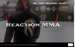 Reaction MMA and Brazilian Jiu-Jitsu