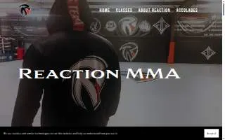 Reaction MMA and Brazilian Jiu-Jitsu website