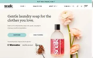 Soak-n-Wet Car Wash website