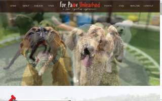 For Paws Unleashed