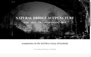 Natural Bridge Acupuncture of Richmond