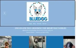 Blue Dog Grooming Salon website