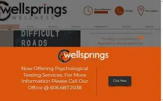 Wellsprings Wellness website