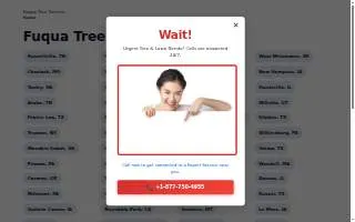 Fur and Feathers Pet Services website