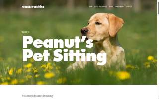 Peanuts Pet Sitting
