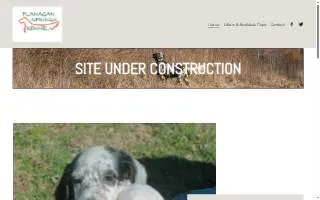 Flanagan Springs Kennel website