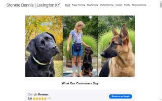 Stonnie Dennis Dog Training & Boarding