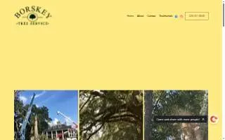 Borskey Tree Service website