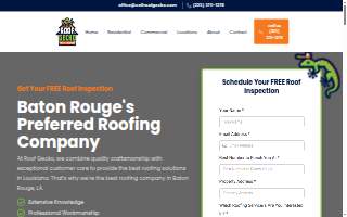 Roof Gecko