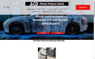 Auto king detail