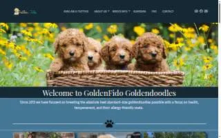 GoldenFido Goldendoodles website