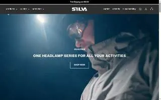 Silva Studio website