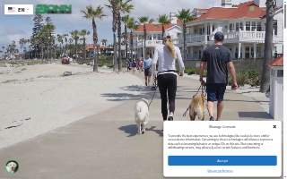 Bonin Dog Training Center