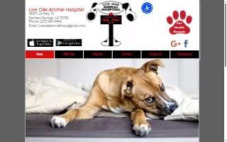 Live Oak Animal Hospital