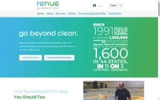 Renue Systems of Louisiana website