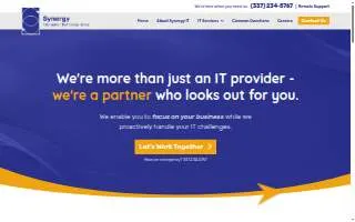 Synergy ITG website