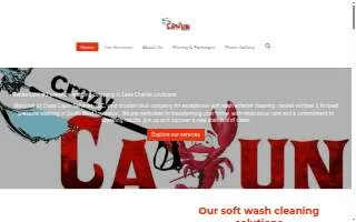 Crazy Cajun Services ,LLC website