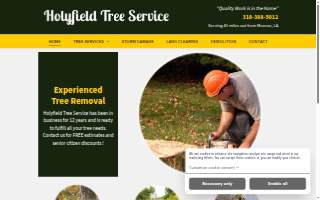 Holyfield Tree Services