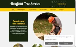 Holyfield Tree Services website