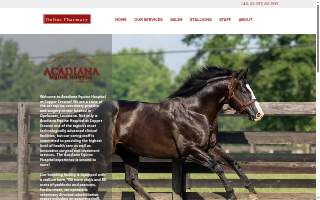 Acadiana Equine Hospital