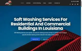Cajun Soft Wash of Prairieville website