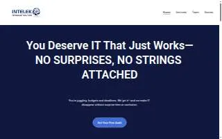 Intelek Technology Solutions website