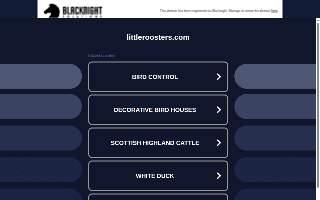 Little Rooster Septic Service