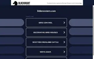 Little Rooster Septic Service of Prairieville website