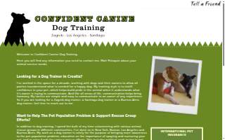 Confident Canine with Julie Taylor