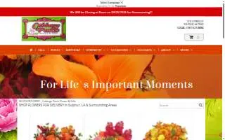 Cabbage Patch Flowers and Gifts website