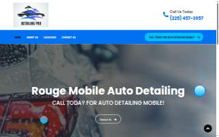 Rouge Mobile Auto Detailing - Zachary