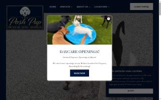 The Posh Pup Acton