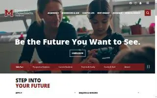 UMass Eye Care Services website
