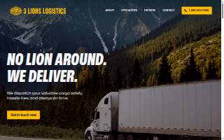 3 Lions Logistics
