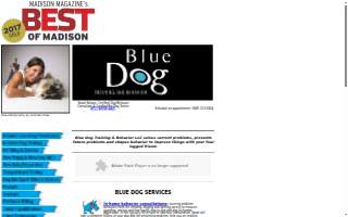 BlueDog of Andover