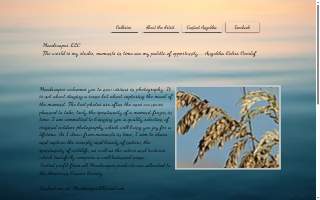 Moodscapes LLC