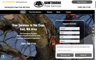 Hawthorne Tree Service