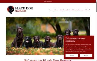 Black Dog Marcom